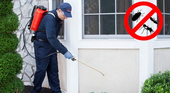 Bingöl Gümüşkurt İlaçlama böcek ilaçlama ve haşere kontrolü — ilaclama-tr.com